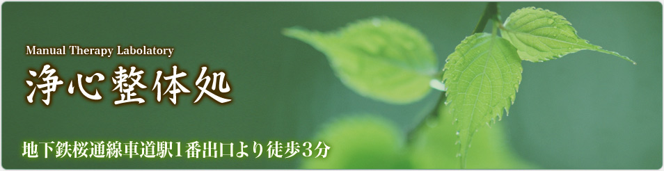 ��S���̏��Ŕ摜